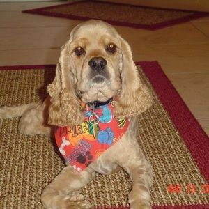 Meet your Posher, Virginia